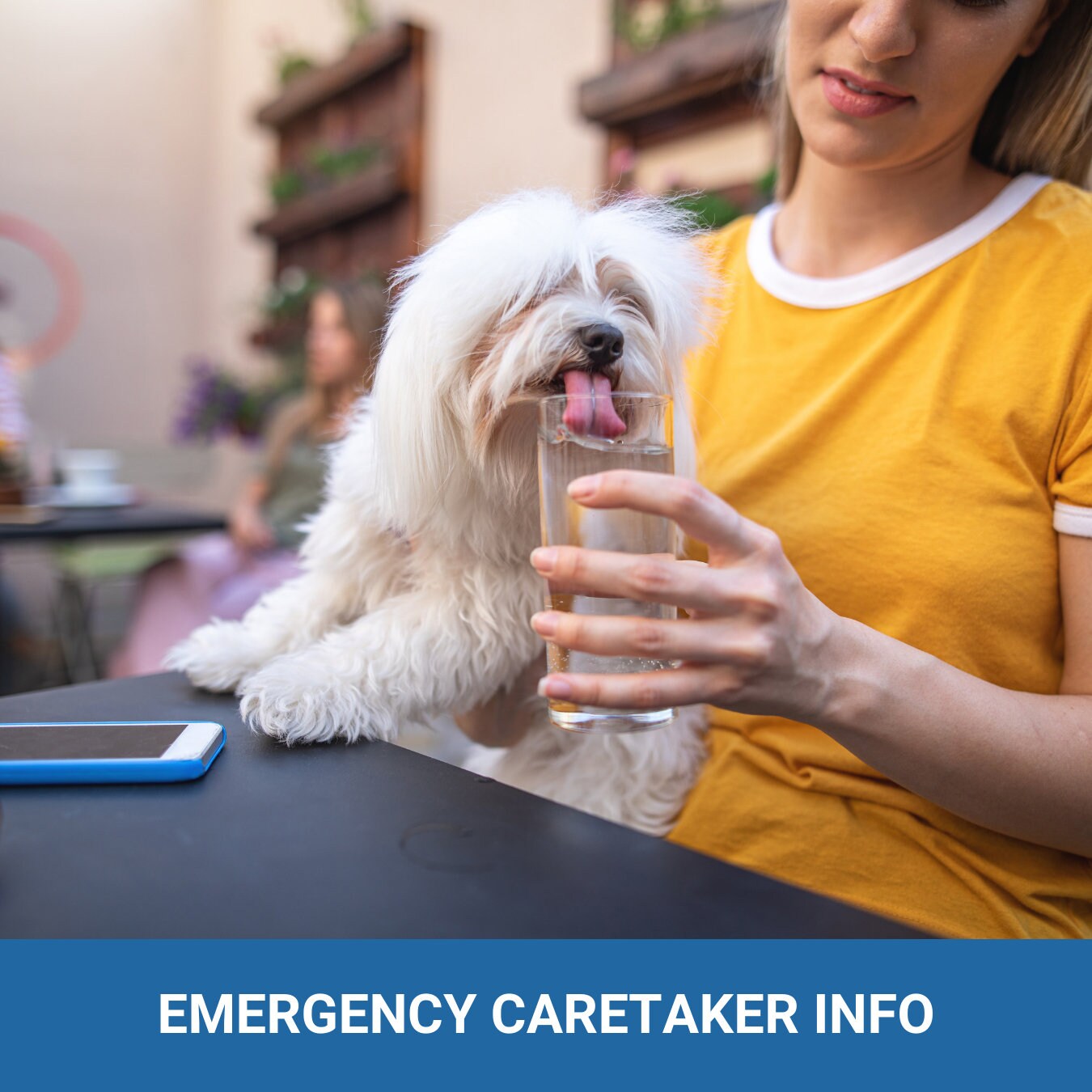 PET Agreement - It's their home too! Expectations and responsibilities - (4 pages) - plus a bonus