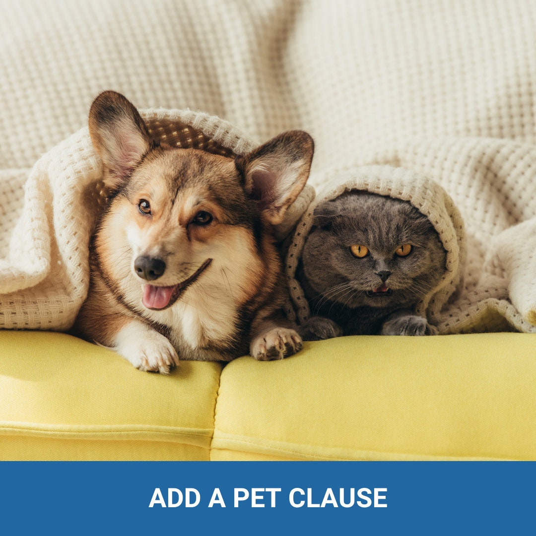 Addendum to Lease! Cover all changes to avoid disagreements...disagreements cost money!