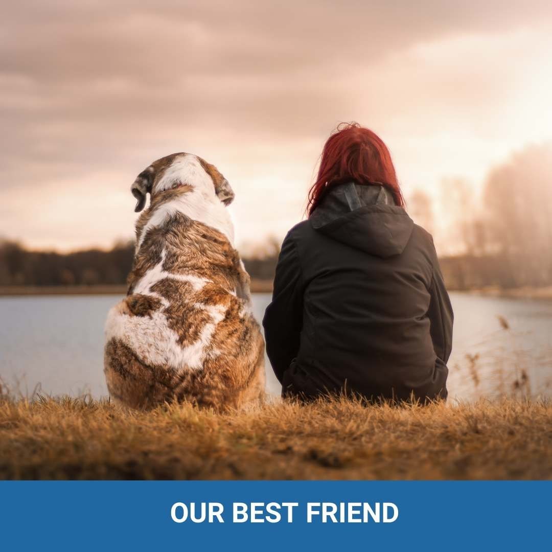 PET Agreement - It's their home too! Expectations and responsibilities - (4 pages) - plus a bonus
