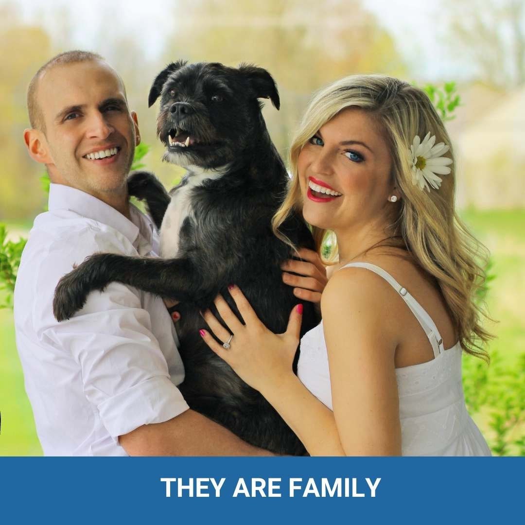 PET Agreement - It's their home too! Expectations and responsibilities - (4 pages) - plus a bonus