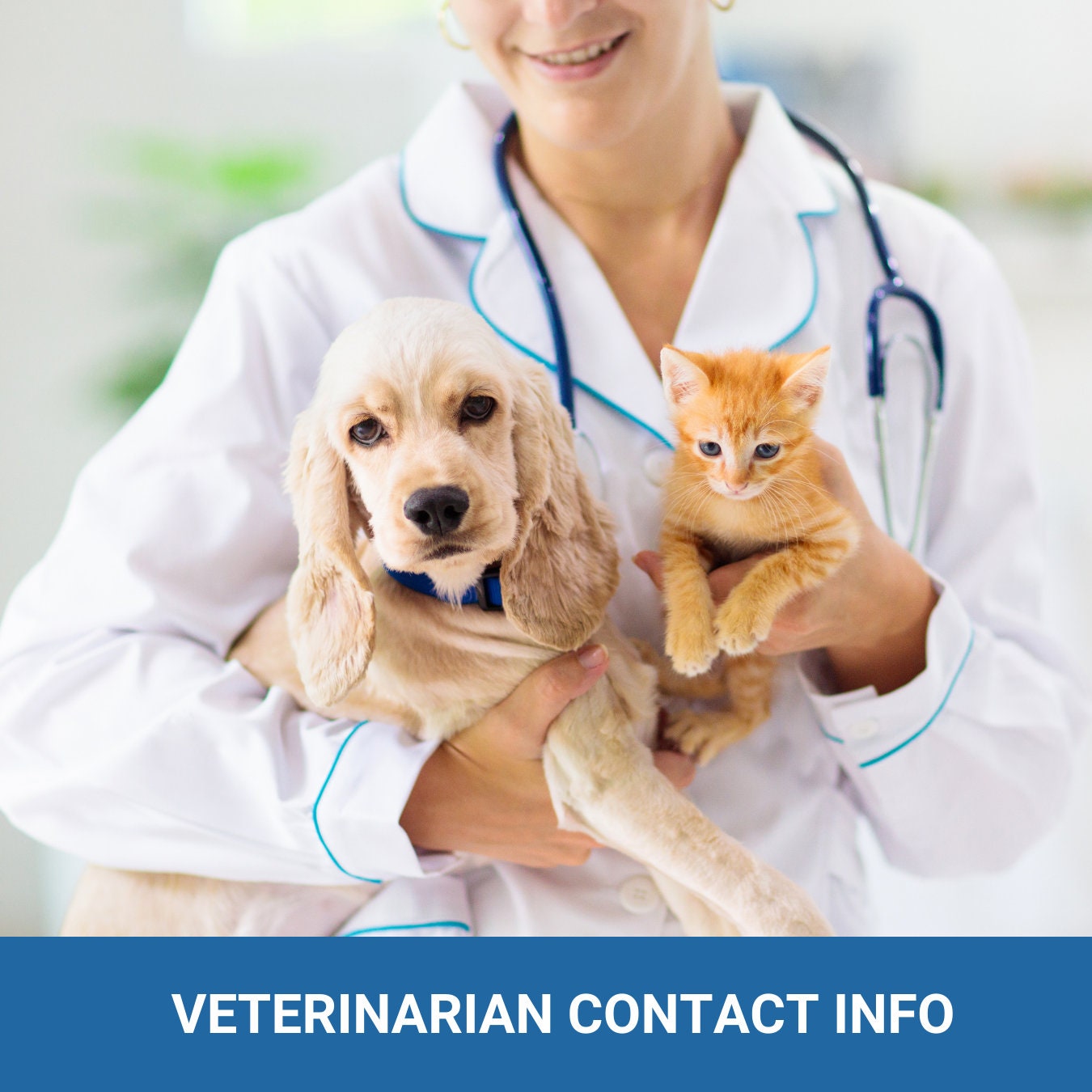 PET Agreement - It's their home too! Expectations and responsibilities - (4 pages) - plus a bonus