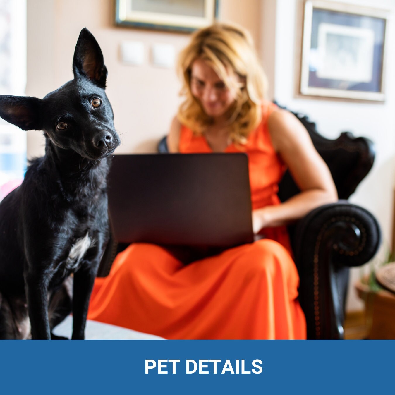 PET Agreement - It's their home too! Expectations and responsibilities - (4 pages) - plus a bonus
