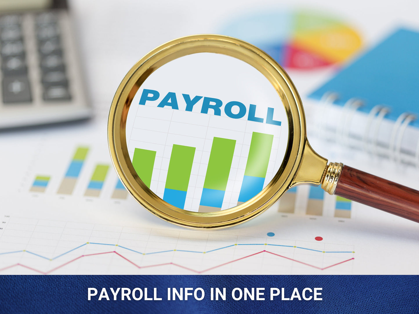 Digital Employee Information Form - PDF FILLABLE From Basic Information to Direct Deposit