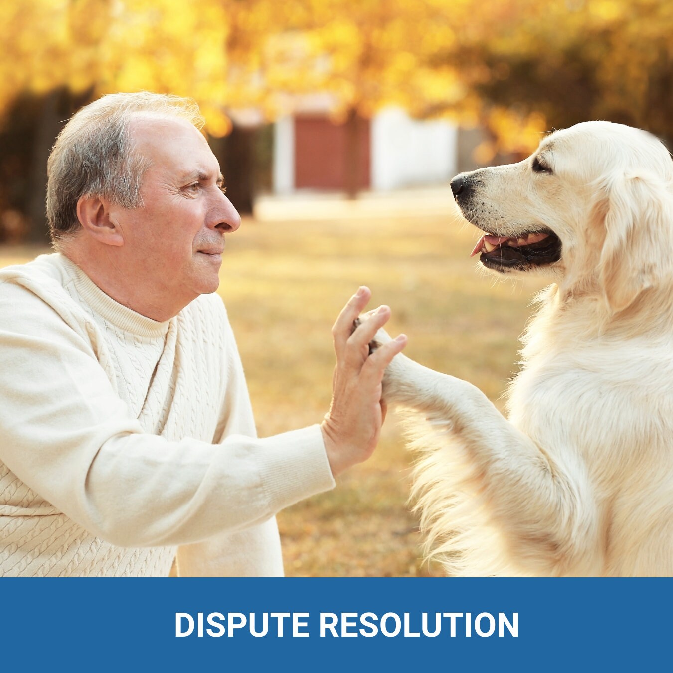 PET Agreement - It's their home too! Expectations and responsibilities - (4 pages) - plus a bonus