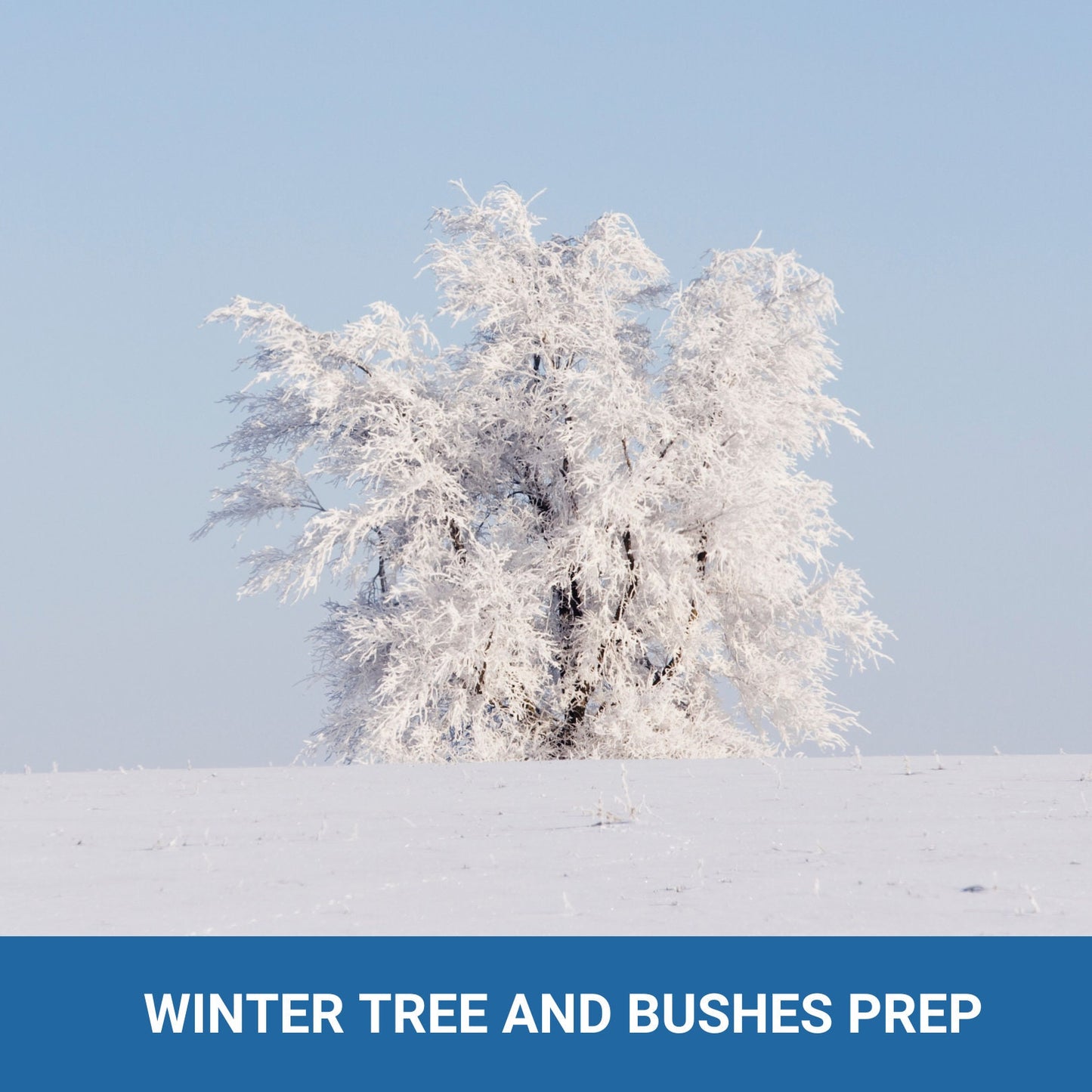 Winter Building Inspection / Preparation - 13 Pages -  Customize the WORD doc or print and go with the PDF! Protect your building!